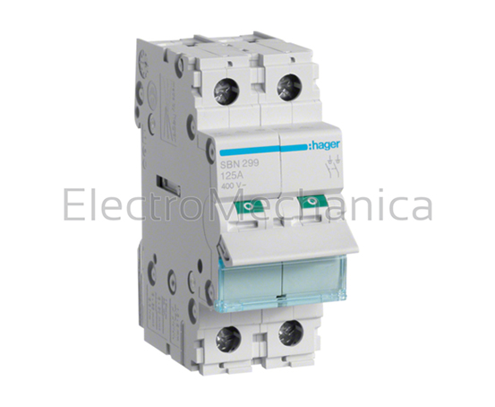 SBN299 — SBN299 - 125A 2P Main Isolator Switch | Hager